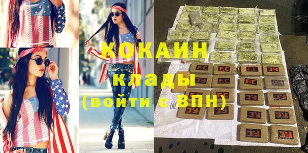 стафф Алзамай