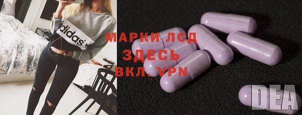 стафф Алзамай