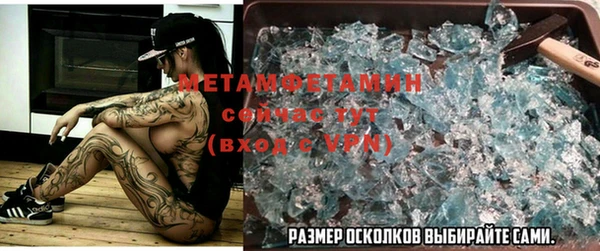 гидра Алексеевка