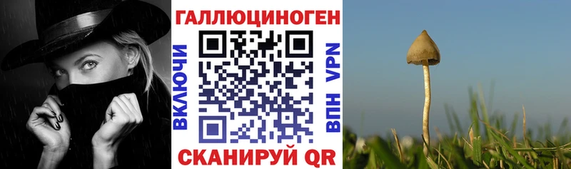 Псилоцибиновые грибы мухоморы OMG вход Асино