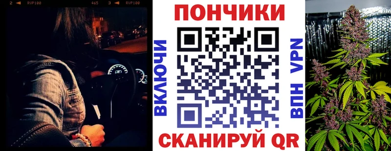 Бошки марихуана индика продажа наркотиков Асино